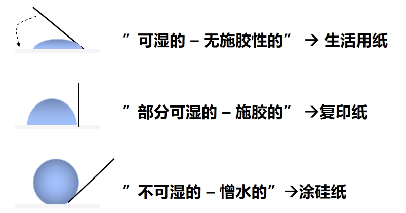 1699449743599497.jpg ccc1.jpg